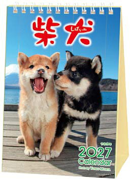○アクティブコーポレーション柴犬 犬 イヌ モリタヨネオ・マルゴトシバイヌ 発行年月：2026年08月 予約締切日：2026年07月07日 ISBN：4990012945436 本 カレンダー・手帳・家計簿 カレンダー 動物・自然