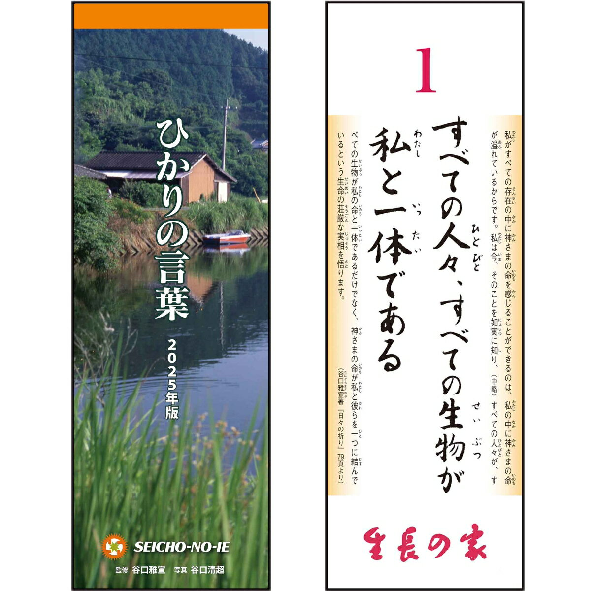 ひかりの言葉 2025年版