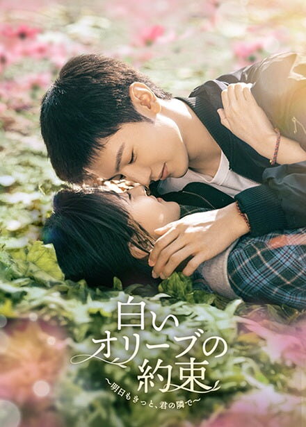 どんなに離れても、この愛だけは揺るがないーー
信じ続けた愛に、涙が止まらない！
「ひそかな恋模様は、曇りのち晴れ」 で人気スターへと躍り出たチェン・ジャーユエン最新作！
世界の片隅で見つけた、決して色あせない恋。

★「ひそかな恋模様は、曇りのち晴れ」で人気急上昇！チェン・ジャーユエン×「寵妃の秘密」シリーズ、リャン・ジェイ共演！
　　抜群の相性で紡ぐ、心揺さぶる珠玉のラブストーリー！
ヒット作「ひそかな恋模様は、曇りのち晴れ」でアジア中の女性を魅了したチェン・ジャーユエンと、「寵妃の秘密」シリーズ、「君（あなた）になるあの日」などで人気を集めるリャン・ジェイが豪華共演！　本作でチェン・ジャーユエンは、これまでの柔らかなイメージを一新し、逞しさと包容力を兼ね備えた大人の男を熱演。その眼差しだけで優しさや葛藤、そして悲しみを語る繊細な目の演技は、多くの視聴者を魅了した。リャン・ジェイも、可憐さと芯の強さを併せ持つ女性記者を好演。互いを想い、支え合いながら惹かれ合っていく二人の、相性抜群のケミストリーが、観る者の心を優しく包み込む。

★極限の地で芽生えた純愛ーー　愛する人を信じ続ける、そのひたむきな愛に涙が止まらない！
本国での配信直後から多くの視聴者の涙を誘った本作。極限の地で運命的に出会った二人は、互いの優しさや揺るぎない信念に惹かれ合い、少しずつ心を通わせていく。過酷な現実に翻弄されながらも、支え合い、信じ、お互いの存在そのものが生きる希望になっていくーー。甘さだけでは終わらない、愛する人を想い続けるひたむきな愛に涙が止まらない！

★世界的評価を得た傑作映画『少年の君』の原作者の傑作小説を映像化！魂を揺さぶる深い絆と希望を描いた、珠玉の感動作！
第93回アカデミー賞国際長編映画賞ノミネート作品『少年の君』の原作者によるベストセラー小説を映像化。ラブストーリーの枠を超え、人生の試練に傷つきながらも、愛を信じ、前を向いて生きようとする姿を丁寧に描く。主人公二人はもちろん、彼らを取り巻く仲間たち一人ひとりにも心揺さぶるドラマがあり、物語を重ねるごとに深い感動が広がっていく。苦難の先にある希望、人を信じることの尊さ、そして決して色あせない愛ーー。観終えたあと、きっと誰かを大切に想いたくなる、心に深く刻まれる感動作。

＜収録内容＞
第15話〜第26話収録
※収録内容は変更となる場合がございます。