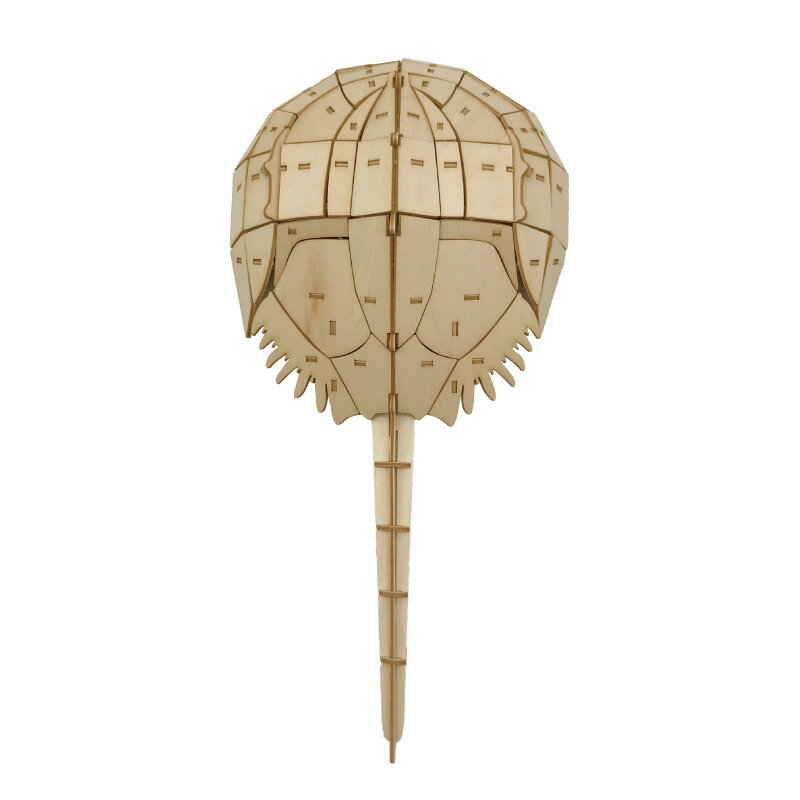 つくるんです RLW01 カブトガニ 【664503】 (組立キット)