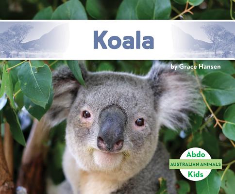 Koala KOALA （Australian Animals） [ Grace Hansen ]