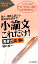 小論文これだけ！ 書き方応用編 樋口裕一