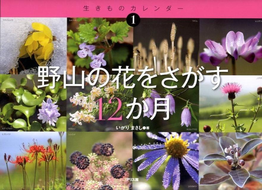 野山の花をさがす12か月