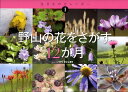 野山の花をさがす12か月 （生きものカレンダー） [ いがりまさし ]