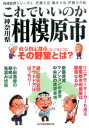 これでいいのか神奈川県相模原市 （地域批評シリーズ） 佐藤圭亮