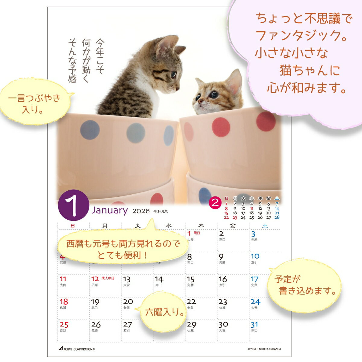2026 プチネコの紹介画像2