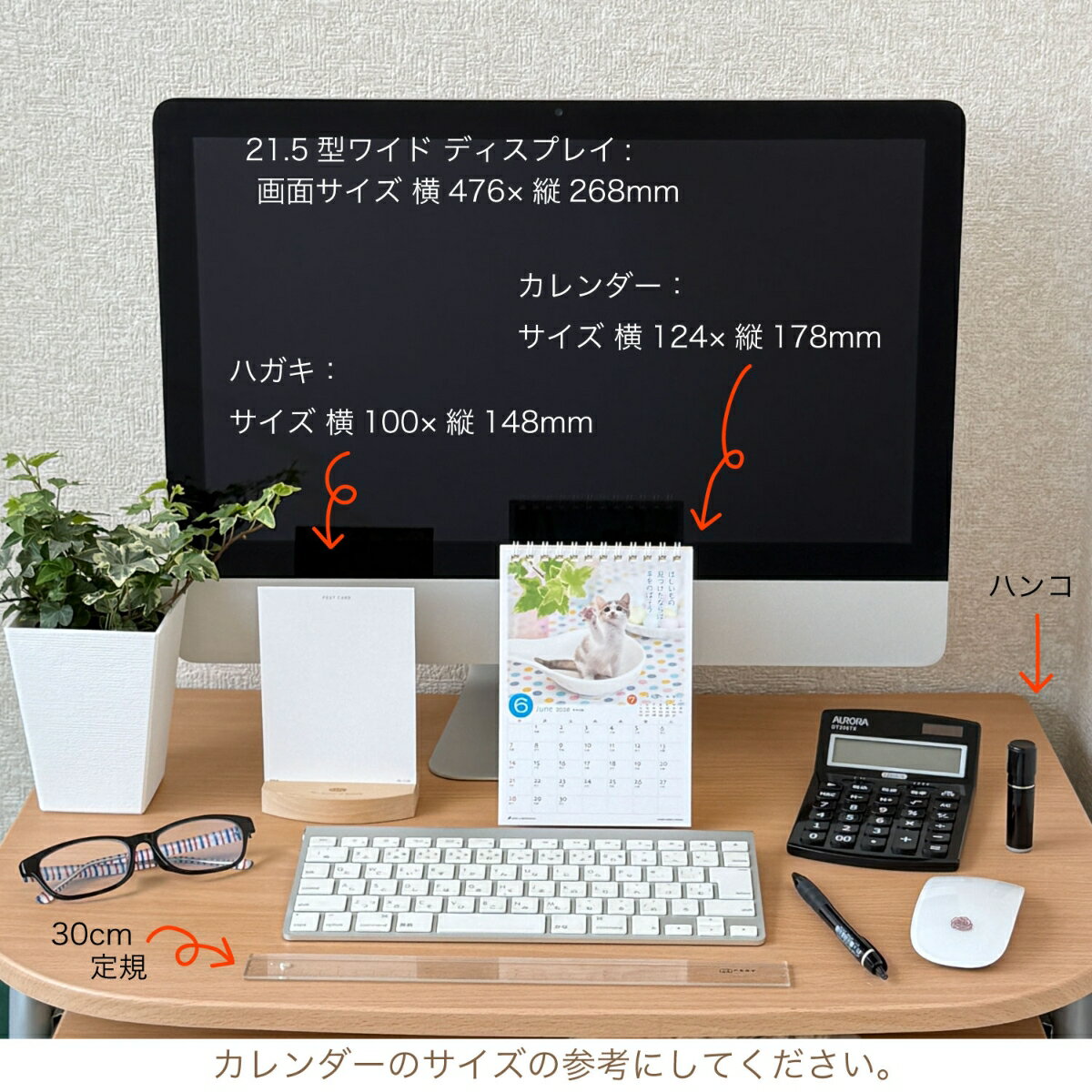 2026 プチネコの紹介画像3