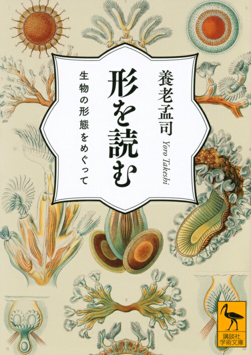 形を読む　生物の形態をめぐって （講談社学術文庫） [ 養老