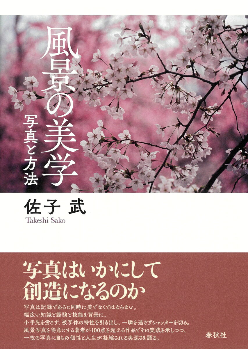 旅の魅力を生涯をかけて探究してきた著者が、みずから撮影してきた80頁のカラー・モノクロ写真を提示して、写真とはいかなる芸術であり、写真の撮影はいかにあるべきかを考察、日常のありふれた光景や寂れた温泉街にひそむこの国の美を発見する喜びを語る。
まえがき
第1章　写真とは何か
第2章　私の写真調書
第3章　私の写真の撮り方1
第4章　私の写真の撮り方2
第5章　私的写真論
第6章　季節と風景

写真構成
　日本の風景1「里から山へ」
　日本の風景2「水」
　日本の風景3「秋」
　日本の風景4「花」
　日本の風景5「庭」
　日本の風景6「雪と砂と空」
　日本の風景7「人々」
　日本の風景8「人工物」
　日本の風景9「旅人と呼ばれん」より

写真ーーこの摩訶不思議なもの（あとがきに替えて）