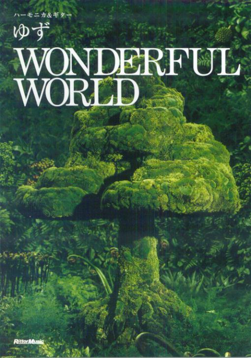 ゆず／Wonderful　world