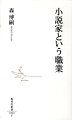 小説家になるためにはどうすれば良いのか？小説家としてデビューするだけでなく、作品を書き続けていくためには、何が必要なのだろうか？プロの作家になるための心得とは？デビュー以来、人気作家として活躍している著者が、小説を書くということ、さらには創作をビジネスとして成立させることについて、自らの体験を踏まえつつ、わかりやすく論じる。