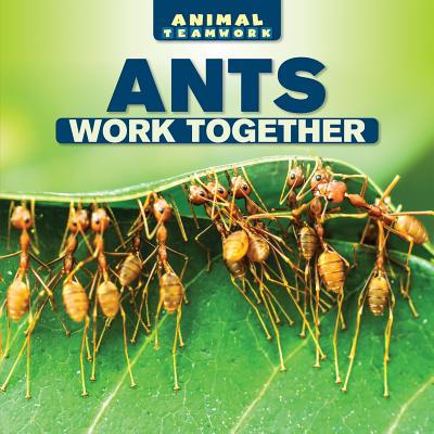 Ants Work Together ANTS WORK TOGETHER （Animal Teamwork） 