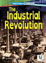 The Industrial Revolution INDUSTRIAL REVOLUTION (World History: Need to Know) [ ...
