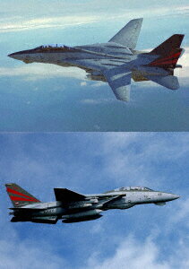 F-14A トムキャット ファイナル