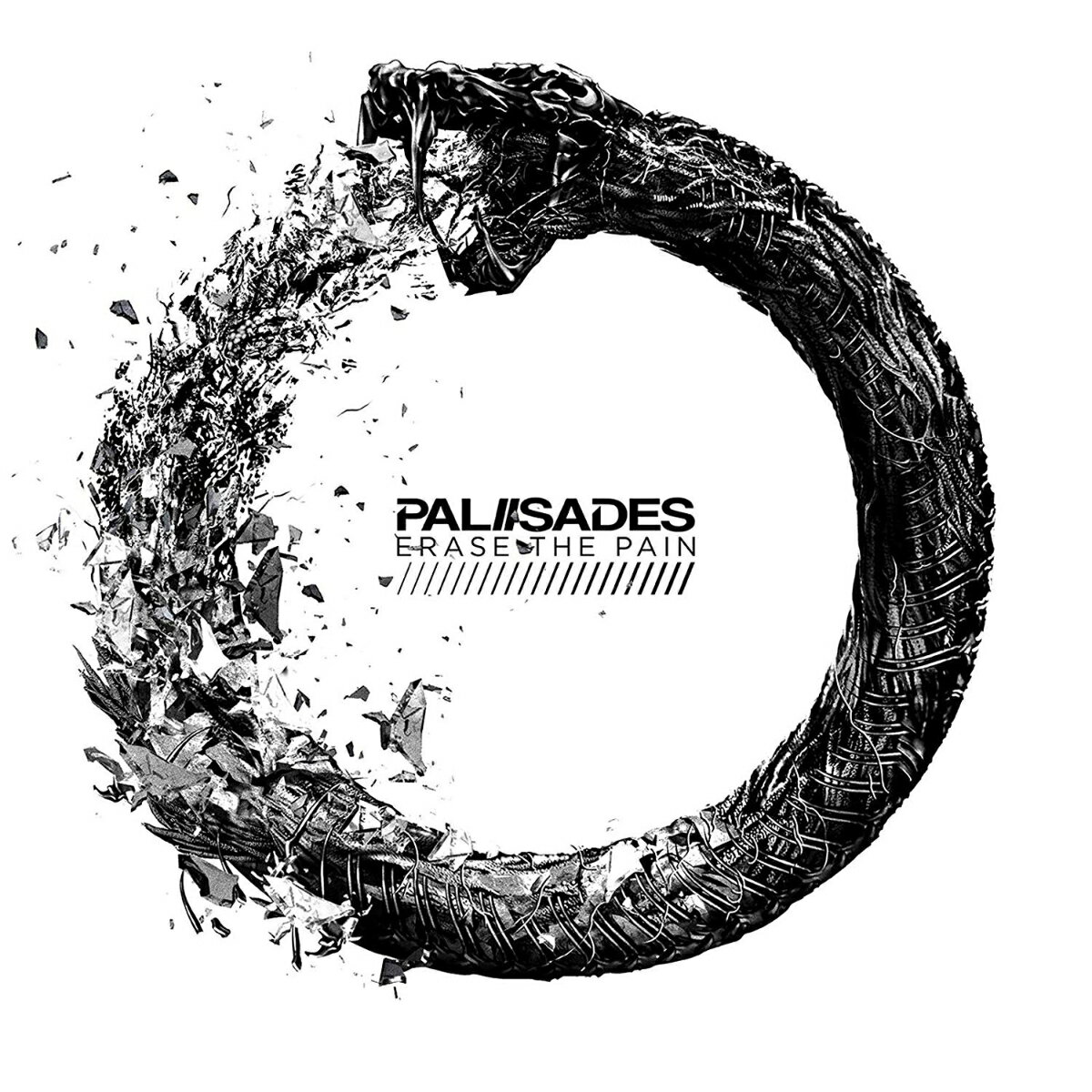 【輸入盤】イレース ザ ペイン【アナログ盤】 PALISADES