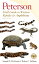 Peterson Field Guide to Western Reptiles & Amphibians, Fourth Edition