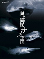 NHKスペシャル 謎の海底サメ王国