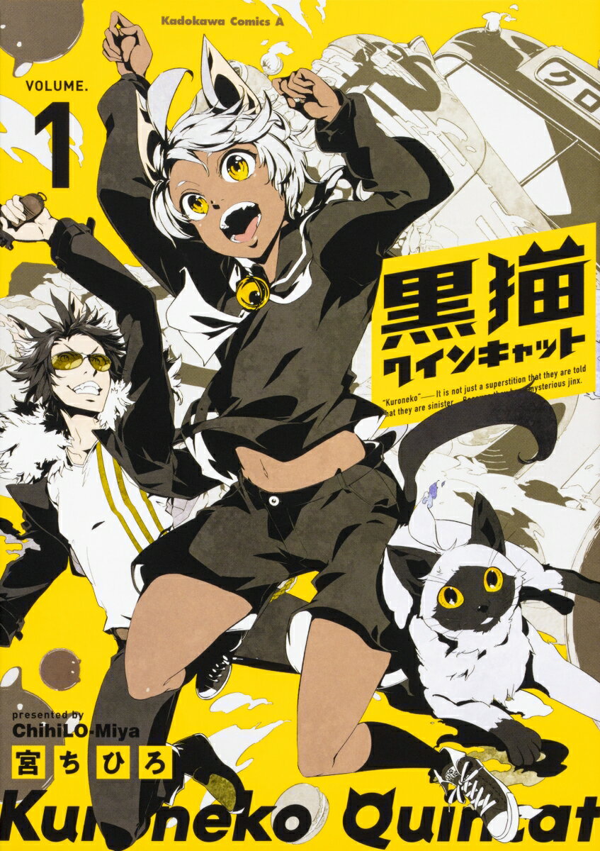 黒猫クインキャット