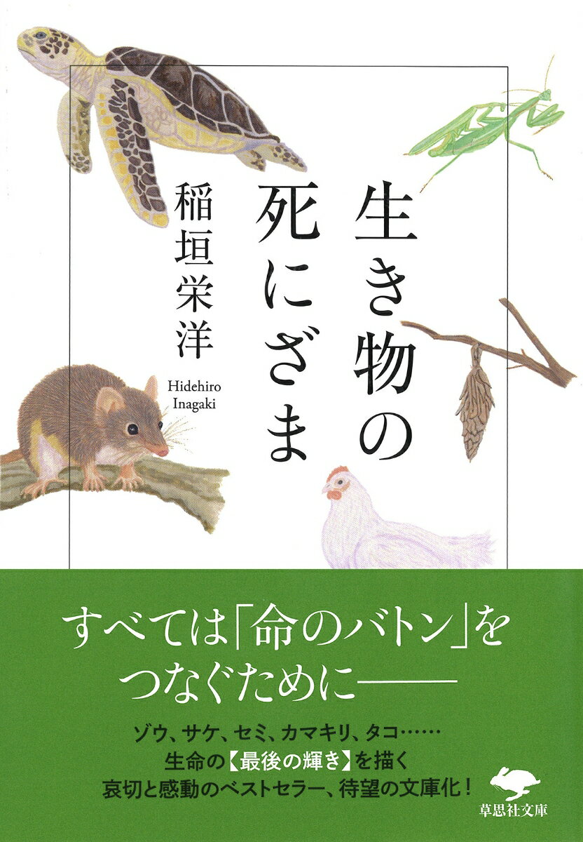 文庫 生き物の死にざま