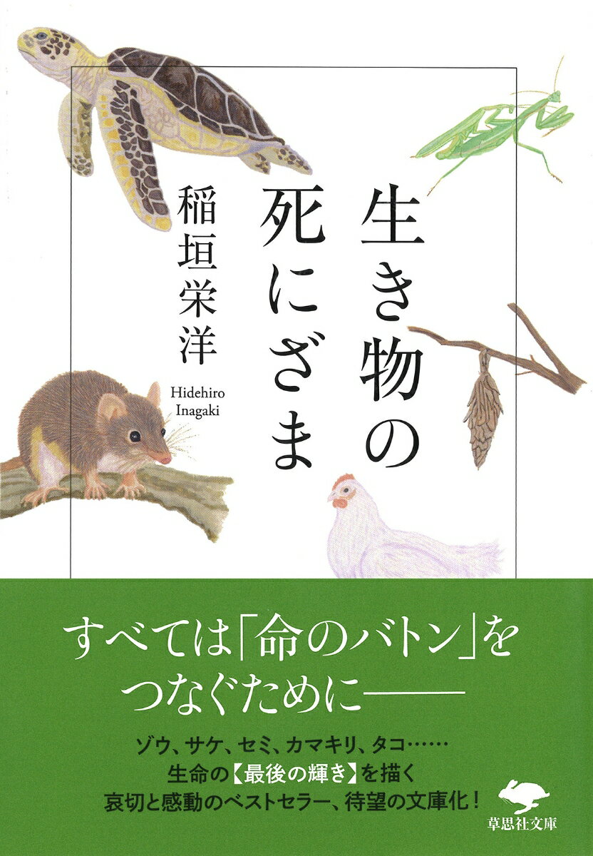 文庫　生き物の死にざま