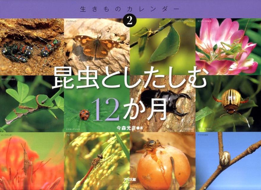 昆虫としたしむ12か月 （生きものカレンダー） [ 今森光彦 ]