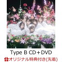 【楽天ブックス限定先着特典】アンチコンフィチュール (Type B CD＋DVD)(生写真(本田珠由記)) [ ≠ME ]