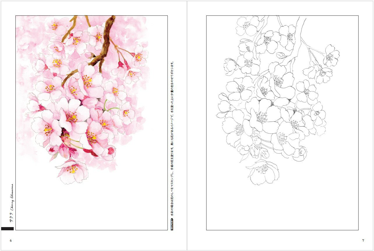 大人の塗り絵BOOK　懐かしい「四季の草花」 [ 秋山　実 ] 3