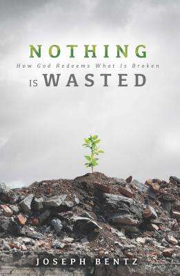 Nothing Is Wasted: How God Redeems What Is Broken NOTHING IS WASTED [ Joseph Bentz ]