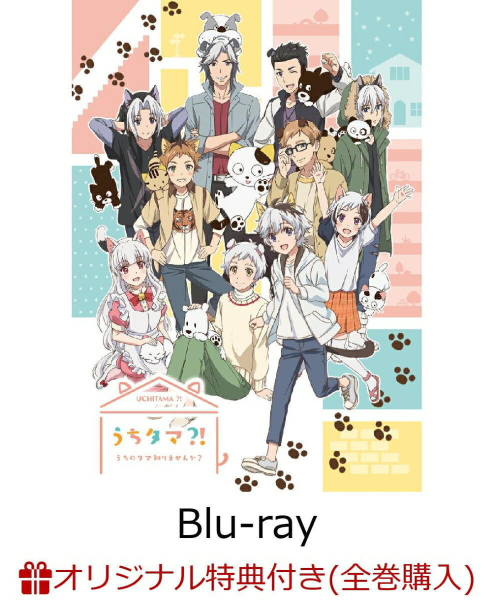 �ڳ�ŷ�֥å�����������������ŵ �� Ź�޶�������������ŵ�оݡۤ�������?! ～�����Υ����Τ�ޤ��󤫡�～5�ڴ������������ǡۡ�Blu-ray��