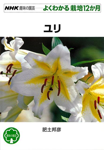 日本は美しい野生ユリの宝庫。園芸品種には日本のユリから生まれたものが少なくありません。切り花として人気のカサブランカもその一つ。さらに次々と新しい品種が生まれ、形や色が豊富で大きな花を咲かせるユリは、夏をダイナミックに装います。野生種、園芸品種の紹介、1年間の管理法、咲かせ方、ふやし方を解説します。