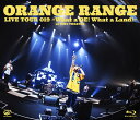 LIVE TOUR 019 ～What a DE! What a Land!～ at オリックス劇場【Blu-ray】 [ ORANGE RANGE ]