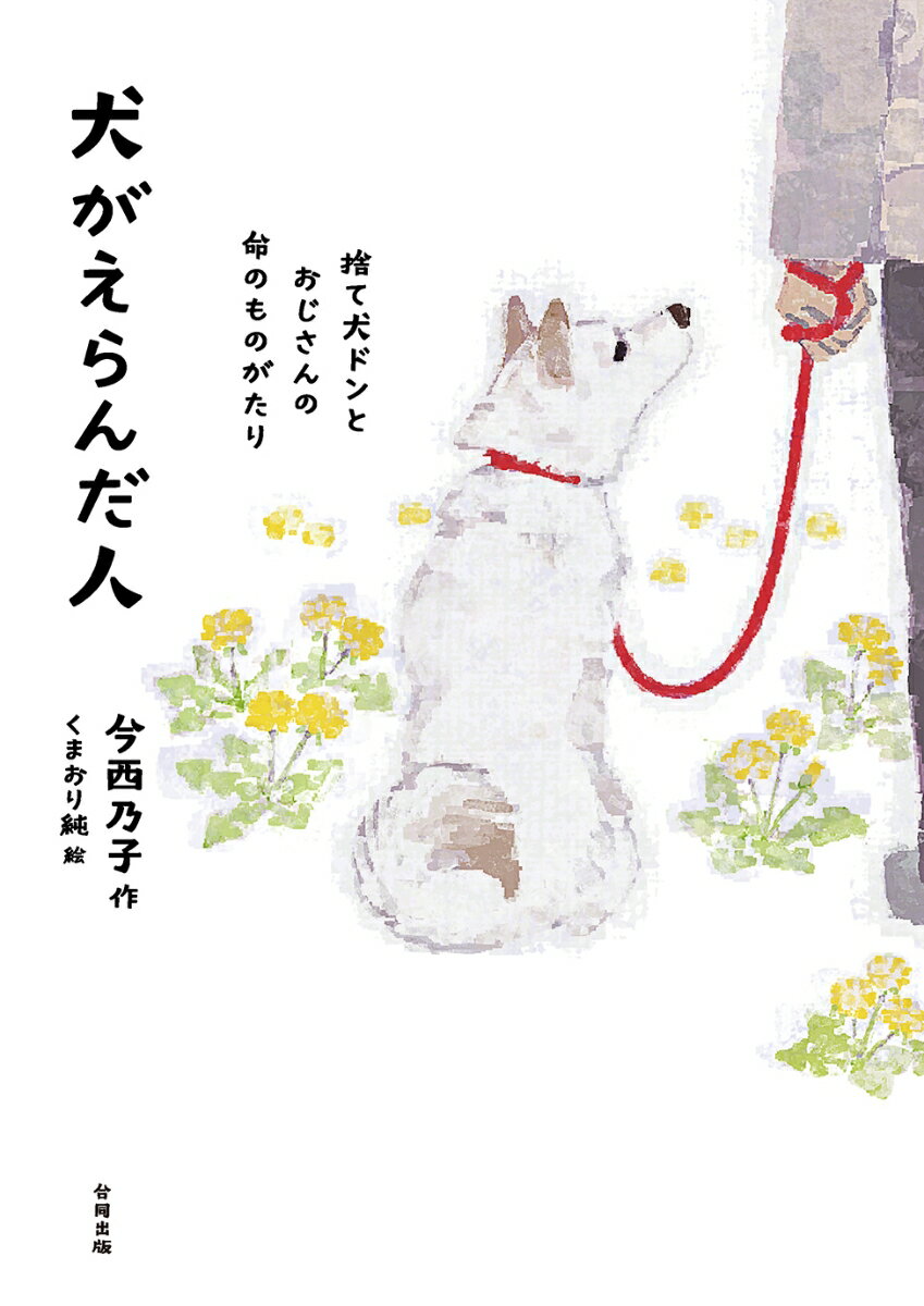 怪盗レッド[本/雑誌] 6 (角川つばさ文庫) (児童書) / 秋木真 しゅー