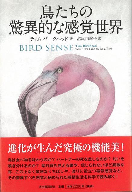 【バーゲン本】鳥たちの驚異的な感覚世界