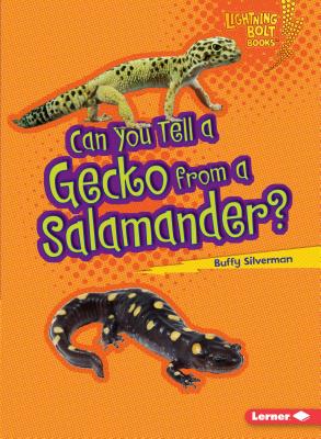 Can You Tell a Gecko from a Salamander? CAN YOU TELL A GECKO FROM A SA （Lightning Bolt Books (R) -- Animal Look-Alikes） [ Buffy Silverman ]