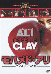 アリ チャンのBlu-ray・DVD商品画像
