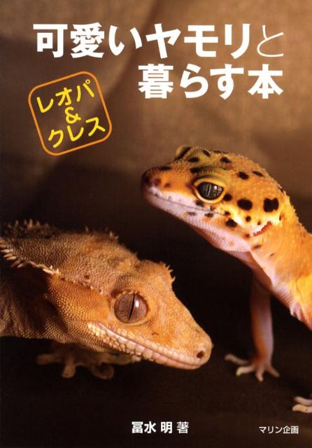 可愛いヤモリと暮らす本