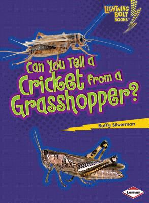Can You Tell a Cricket from a Grasshopper? CAN YOU TELL A CRICKET FROM A （Lightning Bolt Books (R) -- Animal Look-Alikes） [ Buffy Silverman ]