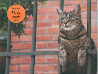 岩合光昭ねこ壁掛けカレンダー（2016）