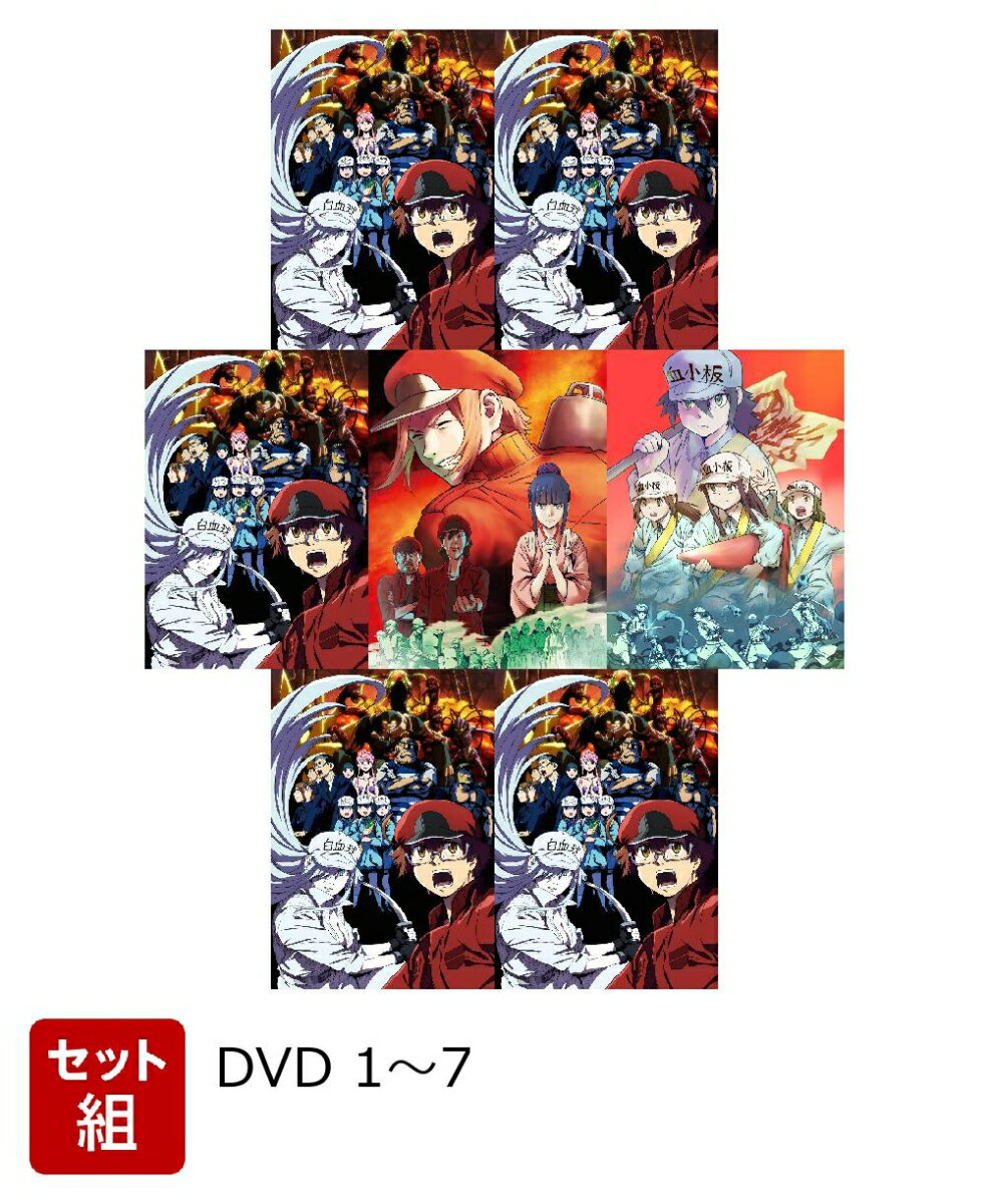 楽天市場】はたらく細胞 dvd 1の通販 楽天市場】はたらく細胞 dvd 1の通販