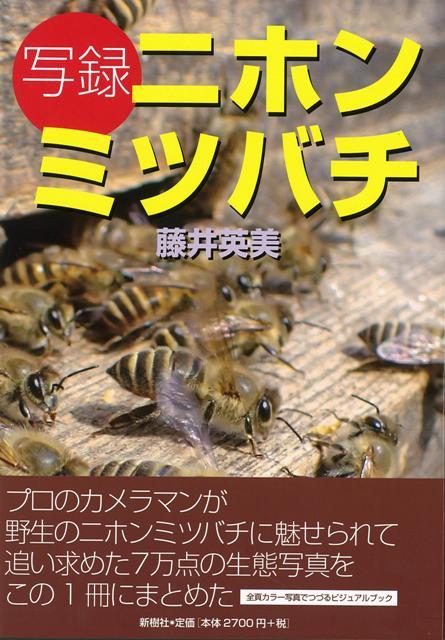 【バーゲン本】写録ニホンミツバチ
