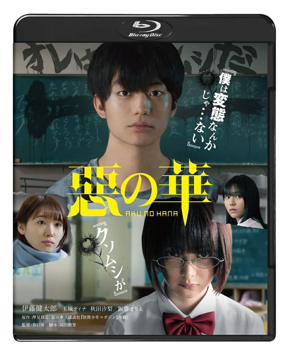 『僕は変態なんかじゃ・・・ない』
『クソムシが』
絶望の思春期を突き進む、超〈変態〉狂騒劇！

■翻弄される伊藤健太郎×悪魔な玉城ティナが新境地を開拓！

■累計300万部突破、2013年にTVアニメ化、2016年には舞台化もされた押見修造の伝説的コミックを完全実写映画化。高校編は本作が初映像化。

■監督は『覚悟はいいかそこの女子。』『片腕マシンガール』『電人ザボーガー』の井口昇監督。
原作者と監督のお互いへの尊敬と、作品やキャラクターへの愛情が詰まった『惡の華』が誕生！

■脚本は『あの日見た花の名前を僕達はまだ知らない。』や『心が叫びたがってるんだ。』など瑞々しいタッチで青春を描き続ける岡田麿里。

■主題歌はガールズ・スリーピースバンドのリーガルリリー。
主題歌「ハナヒカリ」は元々押見修造の大ファンであったVo.Gt.たかはしほのかが、「惡の華」のコミックを初めて読んだ時の衝撃を大事にしつつ書き下ろした新曲。

＜収録内容＞
【Disc】：Blu-rayDisc Video1枚
・画面サイズ：16:9 1080p Hi-Def スコープサイズ
・音声：DTS-HD Master Audio 5.1chサラウンド
・字幕：バリアフリー日本語字幕

　▽映像特典
・特報
・予告
・TVスポット
・WEB限定スポット(2種)
※収録内容は変更となる場合がございます。