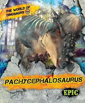 Pachycephalosaurus PACHYCEPHALOSAURUS （World of Dinosaurs） 