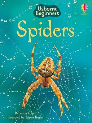 SPIDERS Beginners Rebecca Gilpin Tetsuo Kushii USBORNE BOOKS2025 Paperback English ISBN：9781835405550 洋書 Books for kids（...