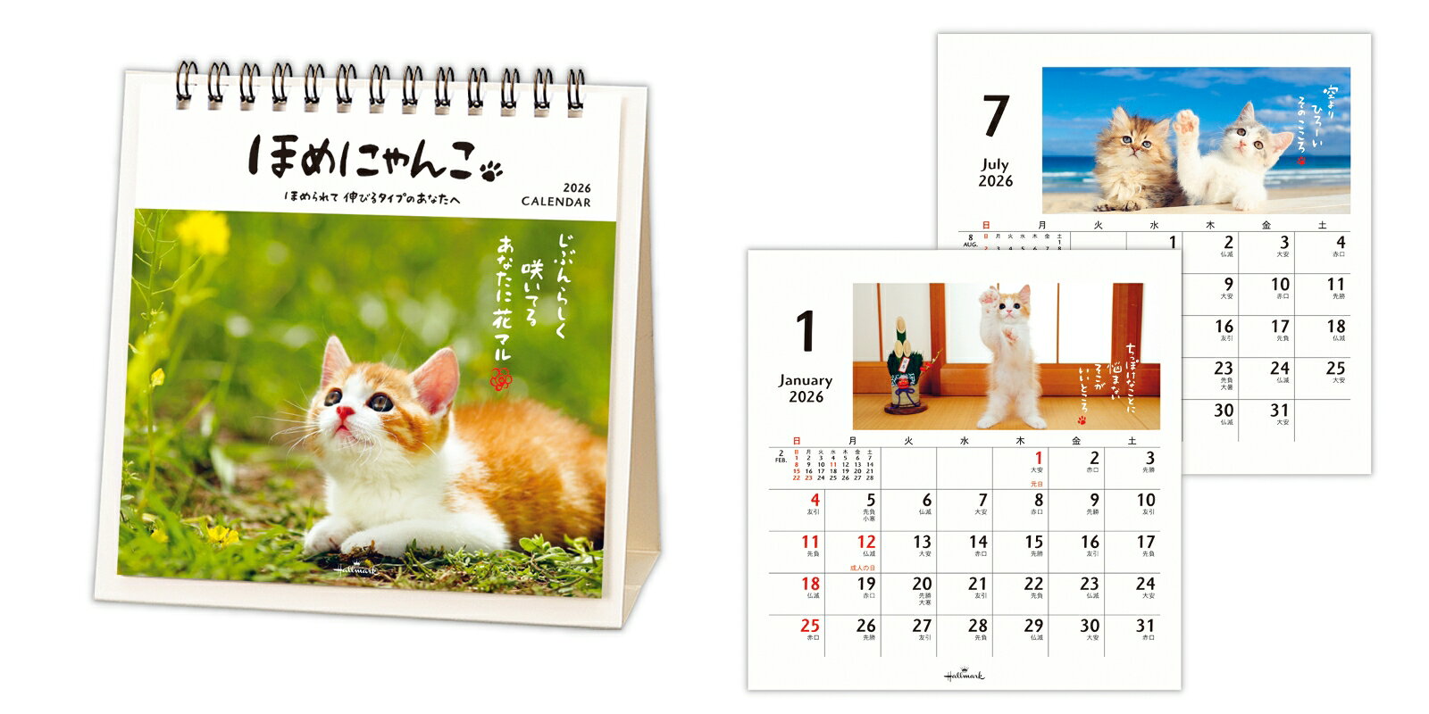 2026 カレンダー卓上 ほめにゃんこ