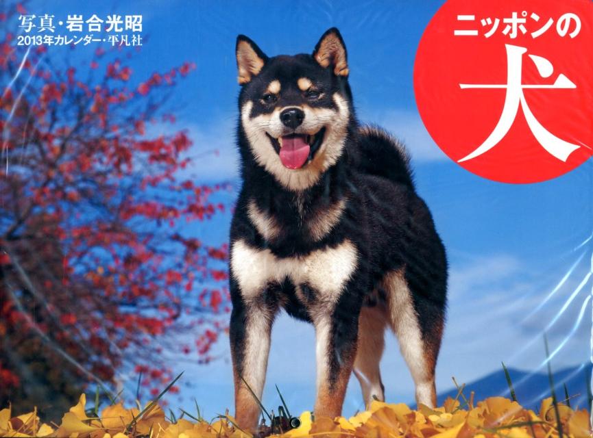 ニッポンの犬カレンダー 2013