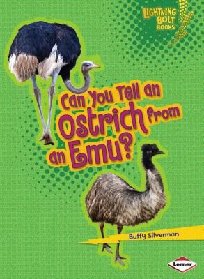 Can You Tell an Ostrich from an Emu? CAN YOU TELL AN OSTRICH FROM A （Lightning Bolt Books: Animal Look-Alikes (Paperback)） [ Buffy Silverman ]