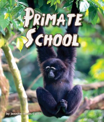 Primate School PRIMATE SCHOOL 