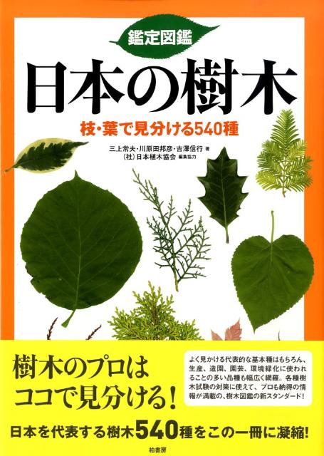 鑑定図鑑日本の樹木 枝・葉で見分ける540種 [ 三上常夫 ]