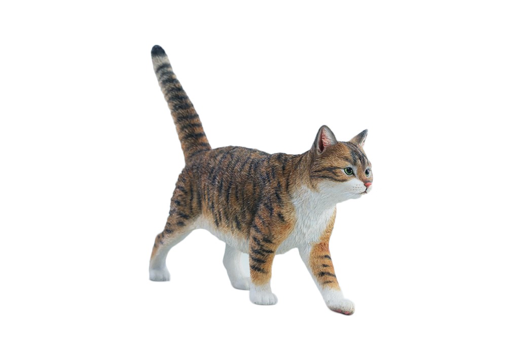 JXKスタジオ 中国田園猫フィギュア プラス A 【JXK347A】 (フィギュア)