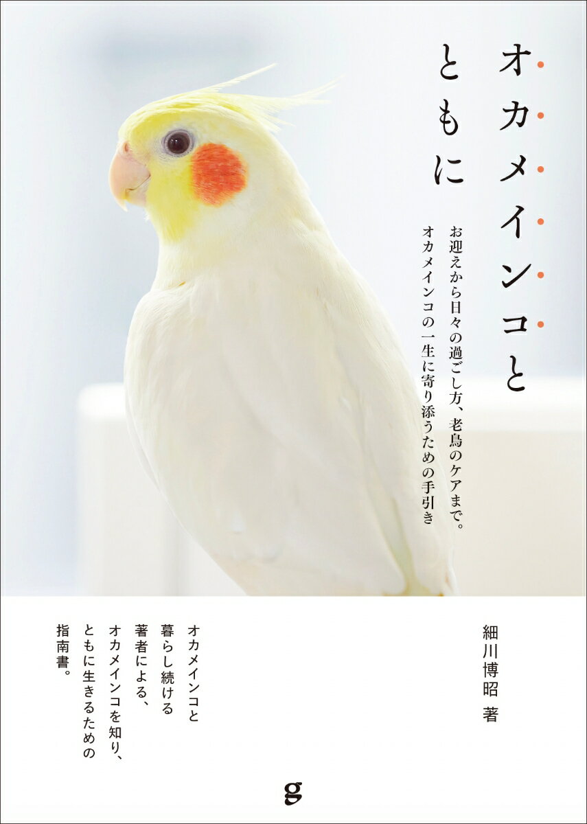 オカメインコとともに